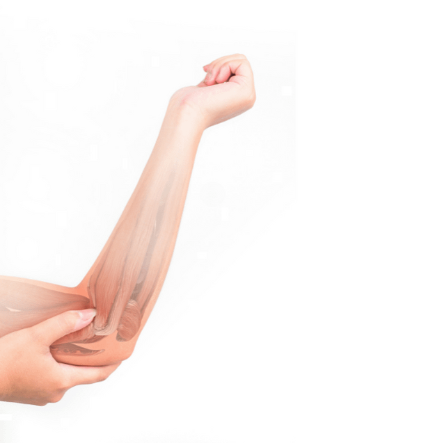 Elbow Facts & Physio