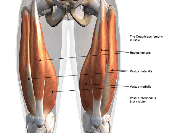 The 7 Best Cardio Exercises for Bad Knees – Facts & Physio